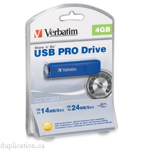 Verbatim Store n Go Professional - USB flash drive - 4 GB - Hi-Speed USB