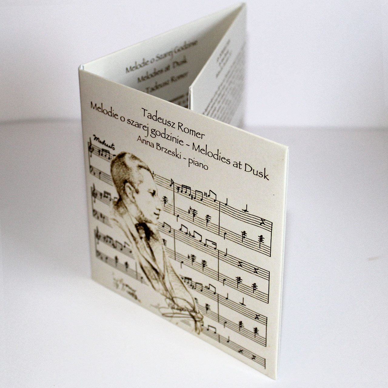 Printed 6-Panel Cardboard Sleeves for CD (Digital)