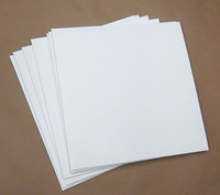 Blank White Jacket for Vinyl 12" Records - 40 pieces