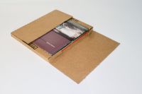 Whiplash LP Mailer V01 - Pack of 36